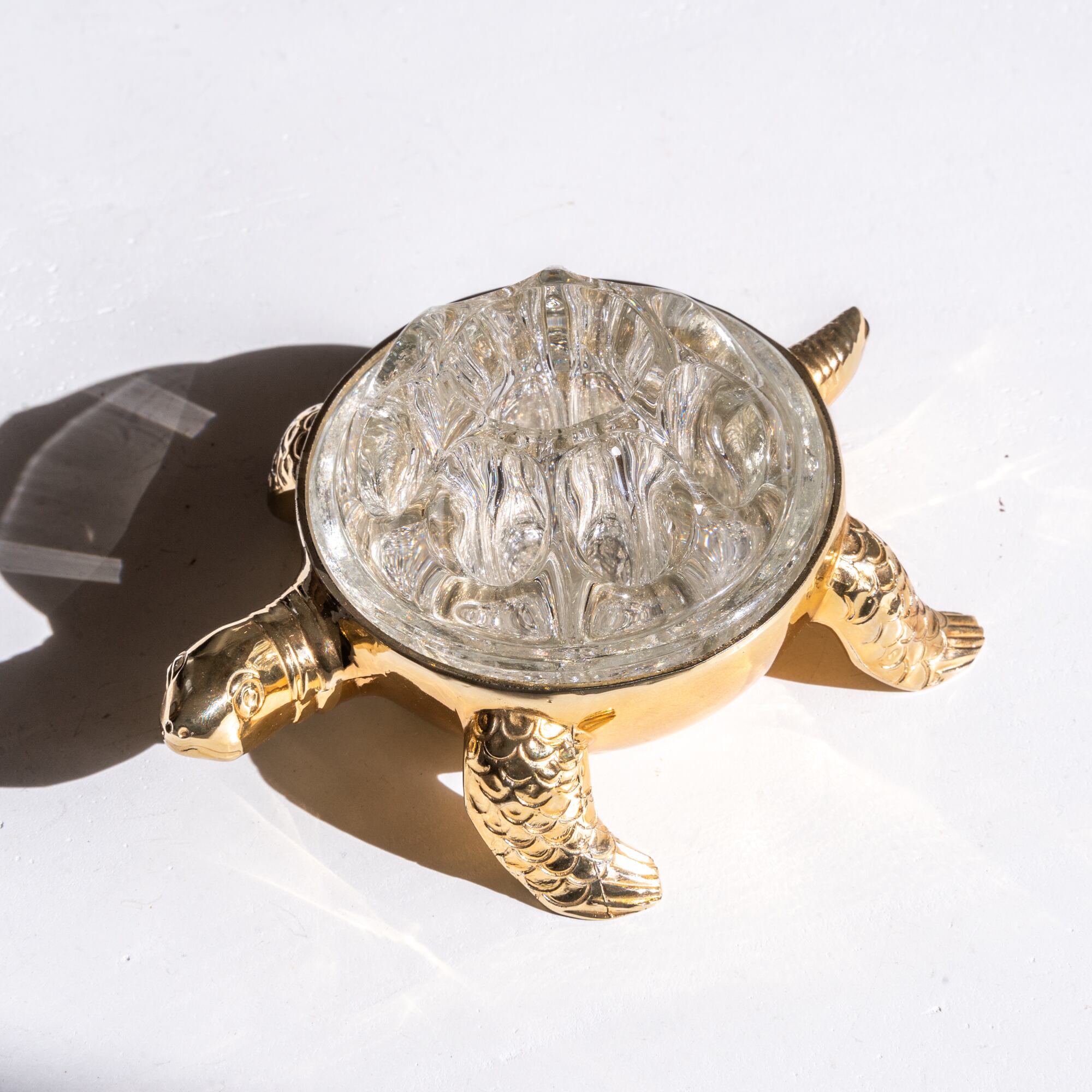 Turtle Flower Picker / Tray