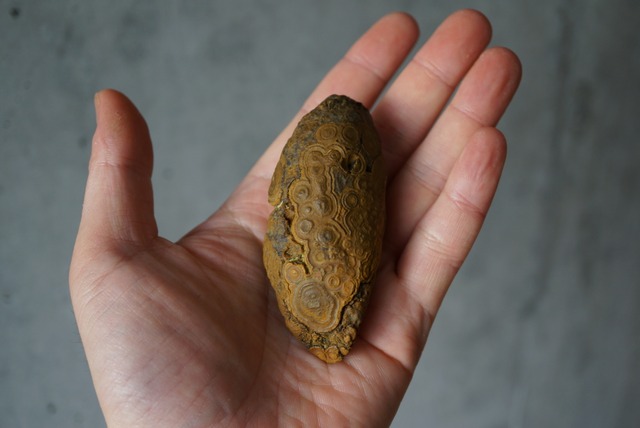 ゴビアゲート Gobi Agate 1129