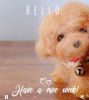 キャラメルちゃん – ちょこんと甘えんぼさん