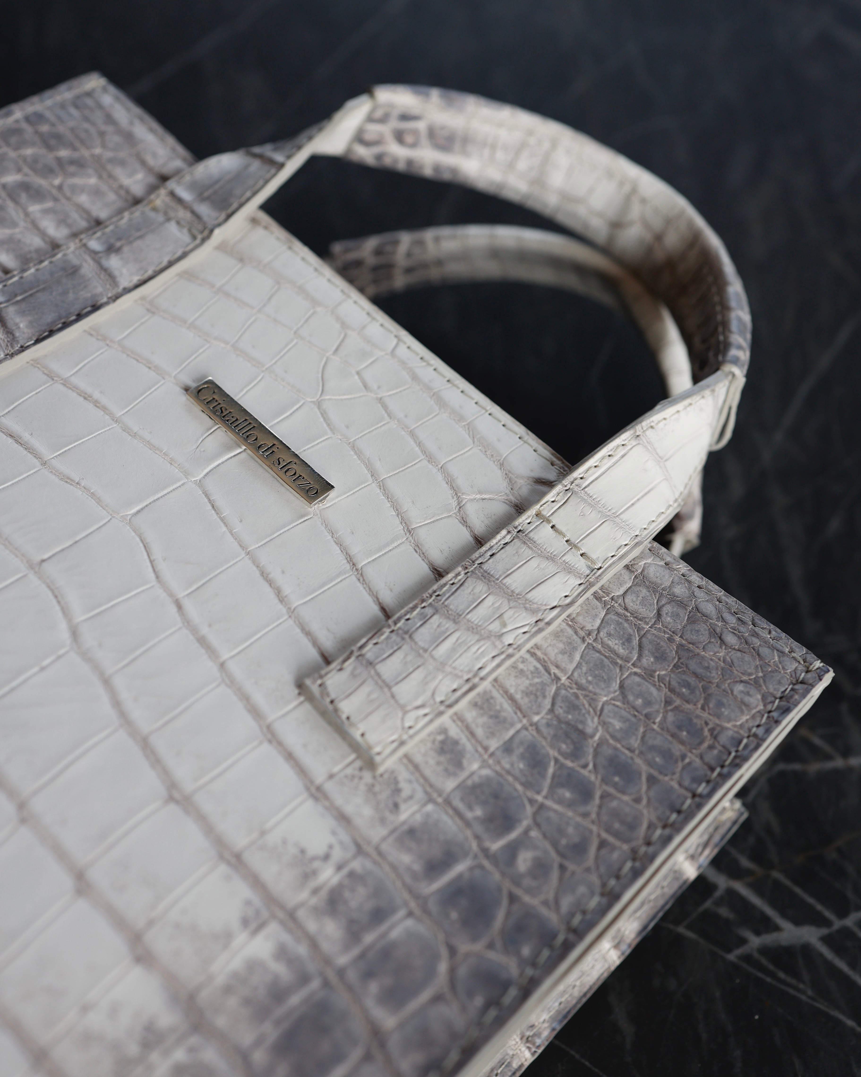 圧倒的高級感】Crocodile Porosus Mini Totebag【Himalaya