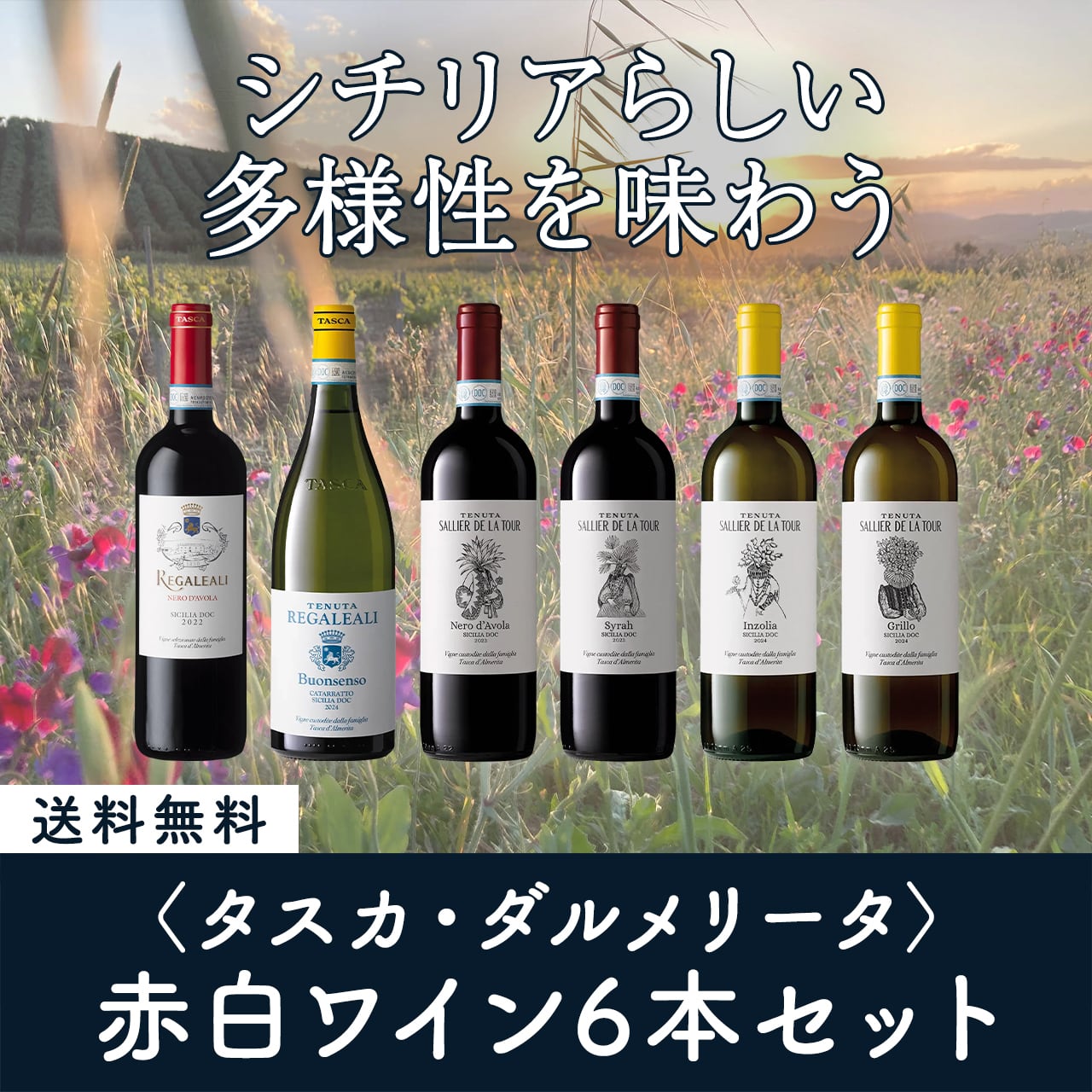シチリア州 | チャオネット｜イタリアワイン＆フードの通販サイト