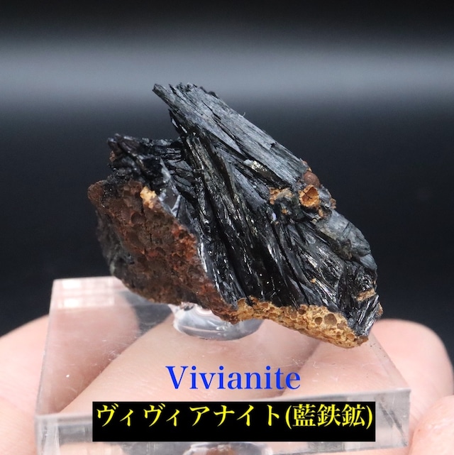 ヴィヴィアナイト 藍鉄鉱 ウクライナ産 原石 VVN001 鉱物 原石 天然石 パワーストーン