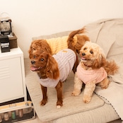 TOREOTTO38 DOG KNITVEST / PINK
