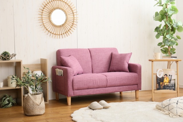 高めがお好きなワンちゃんに 2人掛けソファ コンパクト