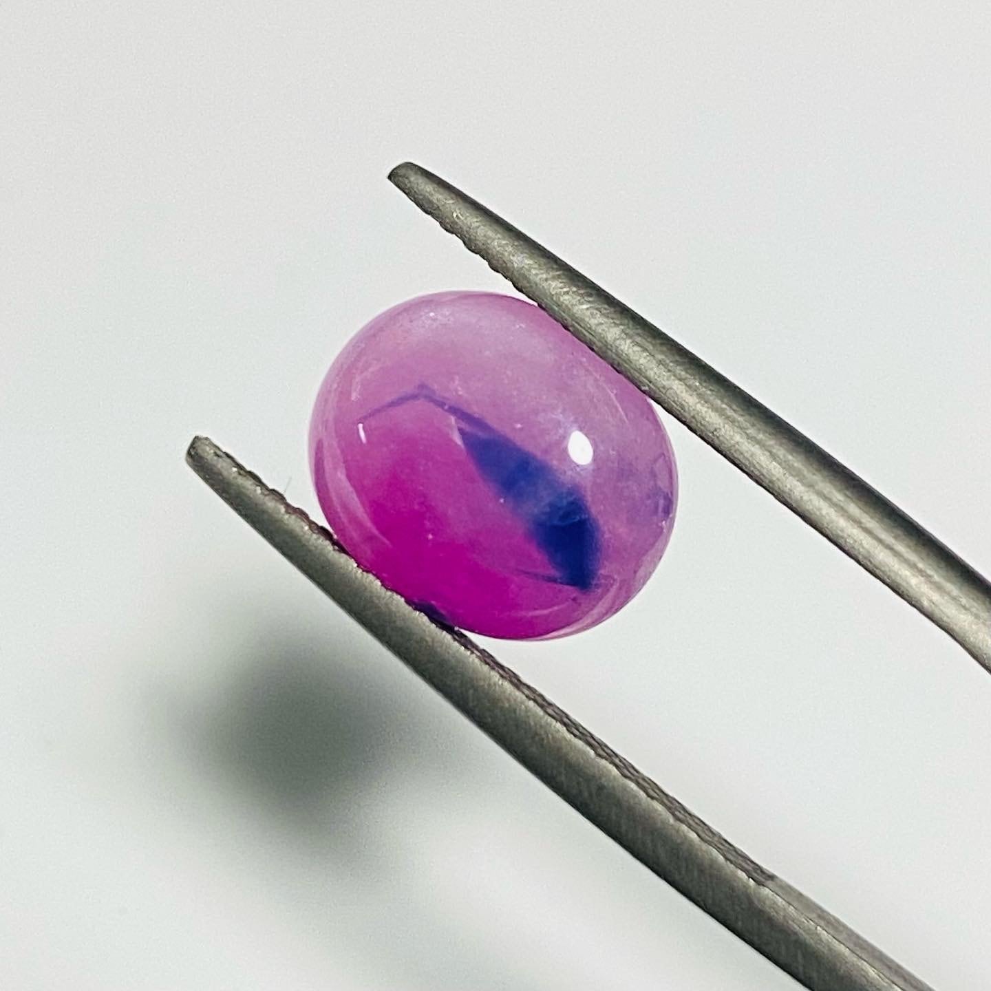 春香るアートなサファイア