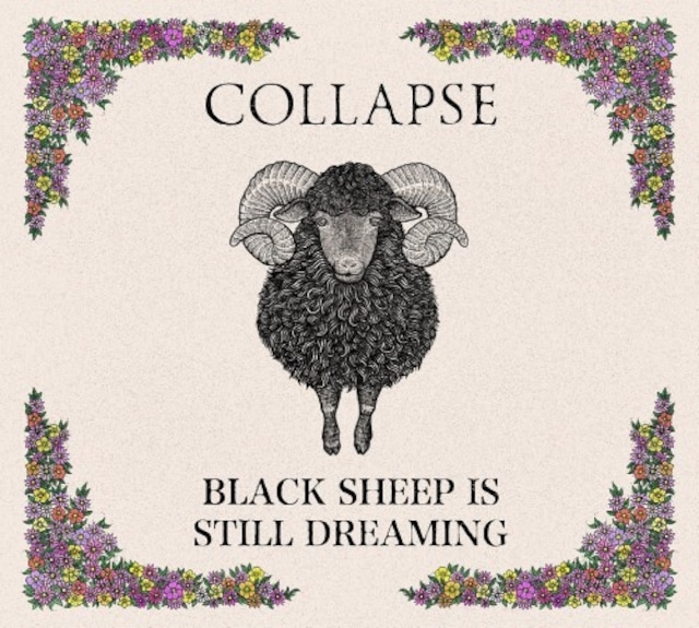 COLLAPSE / BLACK SHEEP IS STILL DREAMING (CD)