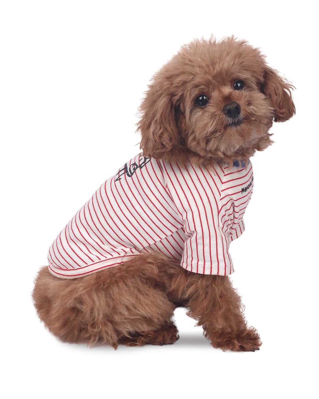 Little Doodle Stripe Tee(Red st)/ monchouchou