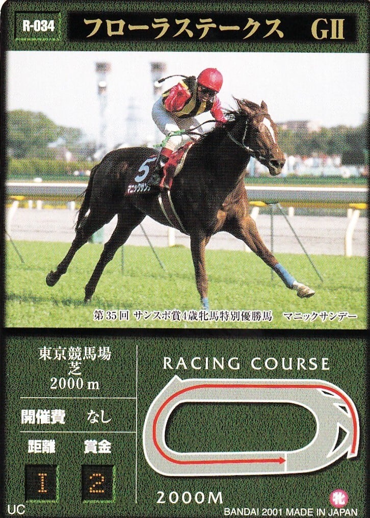 ペインテドブラック：第66回 日本ダービー出走馬「サラブレッドカード