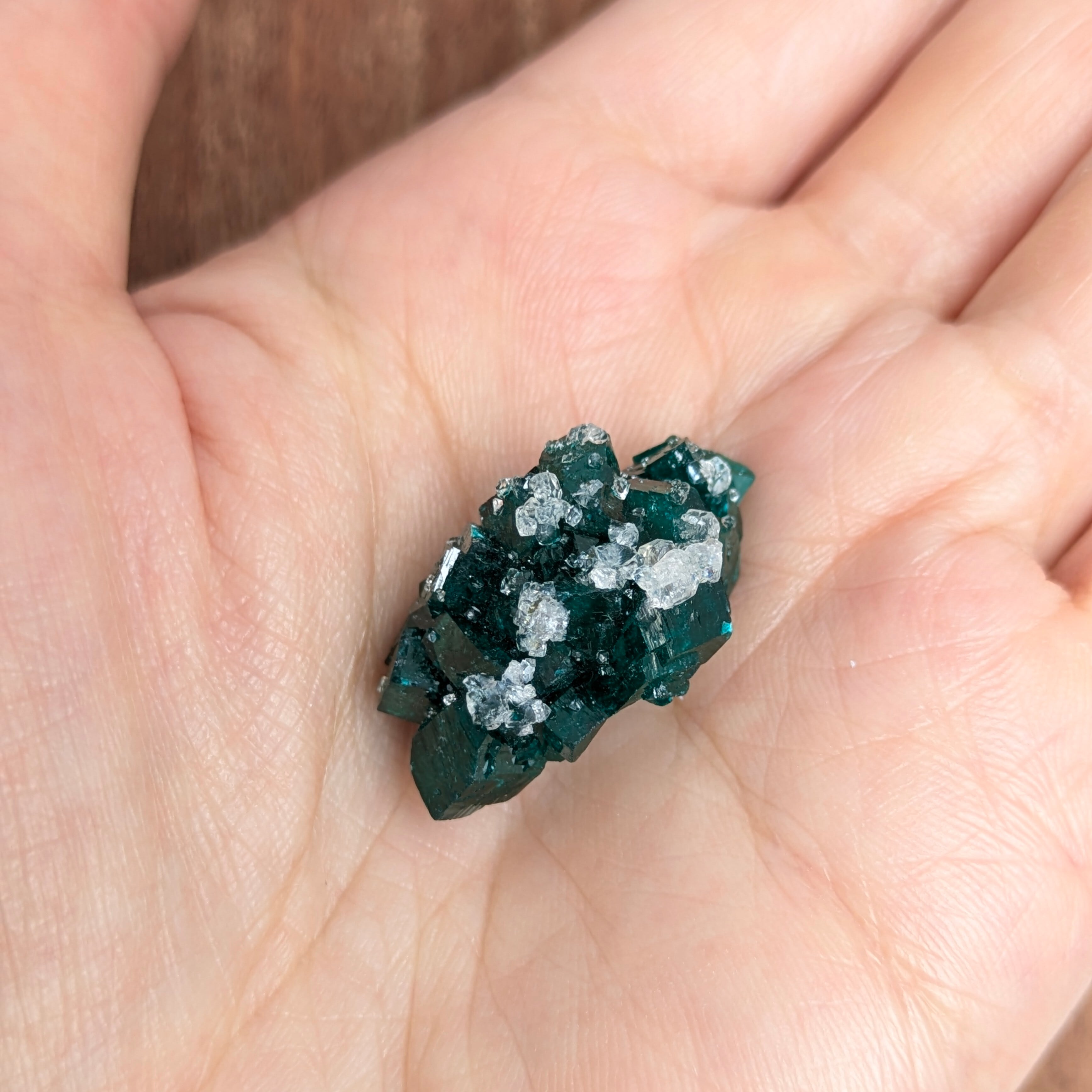 ダイオプテ―ゼ 原石 ダイオプテーズ原石【31.44ct】 PRO209141 | Gem's Subculture