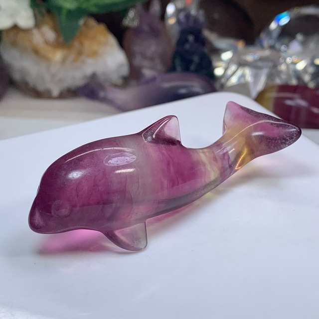 11.癒☆可愛いフローライトイルカさん