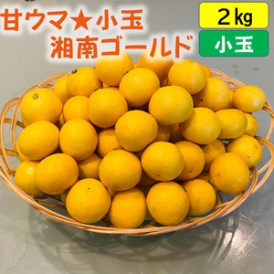 送料無料　甘ウマ☆小玉・湘南ゴールド（２Sサイズ）　２ｋｇ