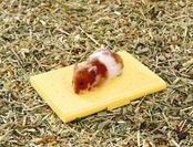 マルカン カイロケースぽかぽか