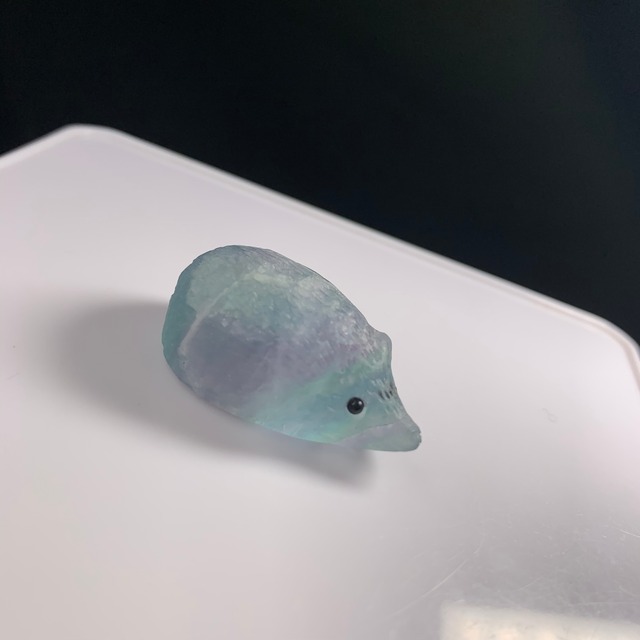 ハリネズミ  フローライト