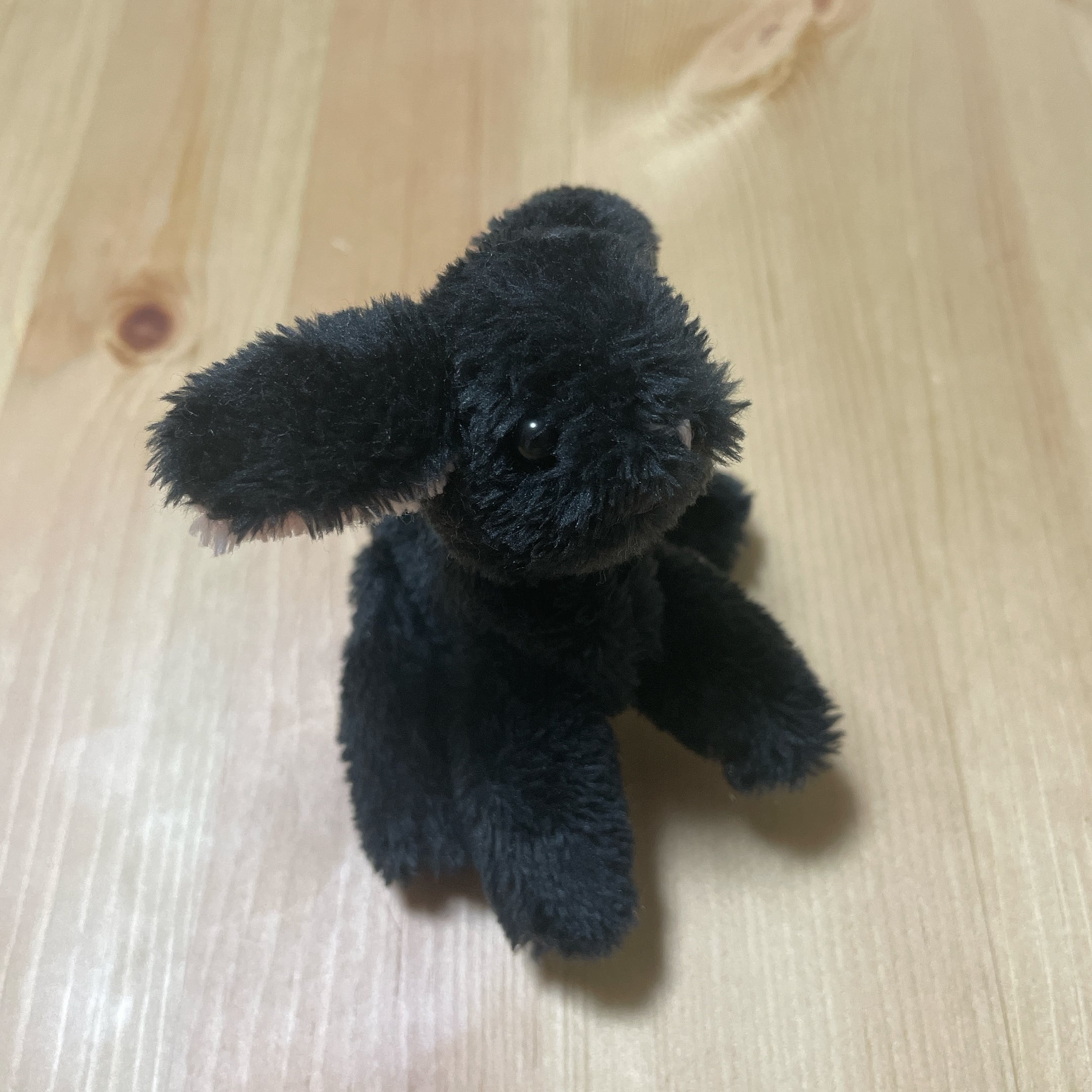 コヒツジヤサン