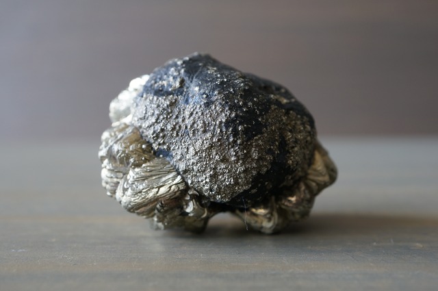 マーカサイト   Marcasite