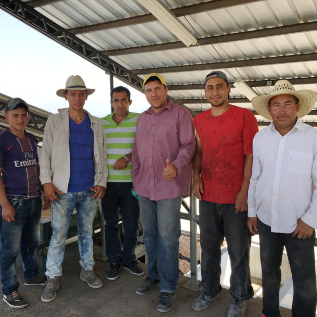 ホンジュラス　テパングアレ農園　アナエロビック 200g