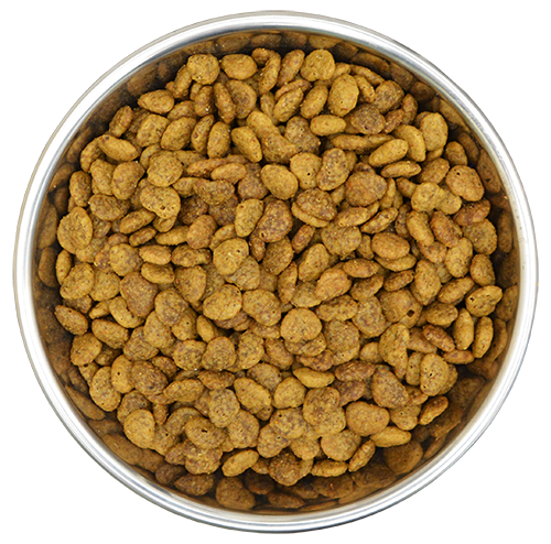 【定期便：1ヶ月】Benevo ベジタリアンキャットフード 2kg