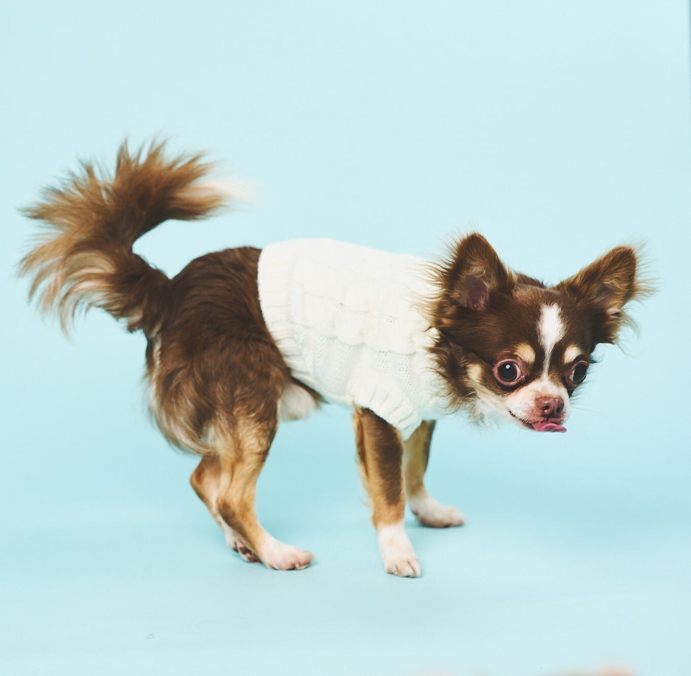 HIGH NECK CABLE KNIT-IVORY