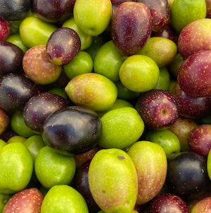 横浜オリーブ  NO7 solare yokohama エクストラバージンオリーブオイル 120ml