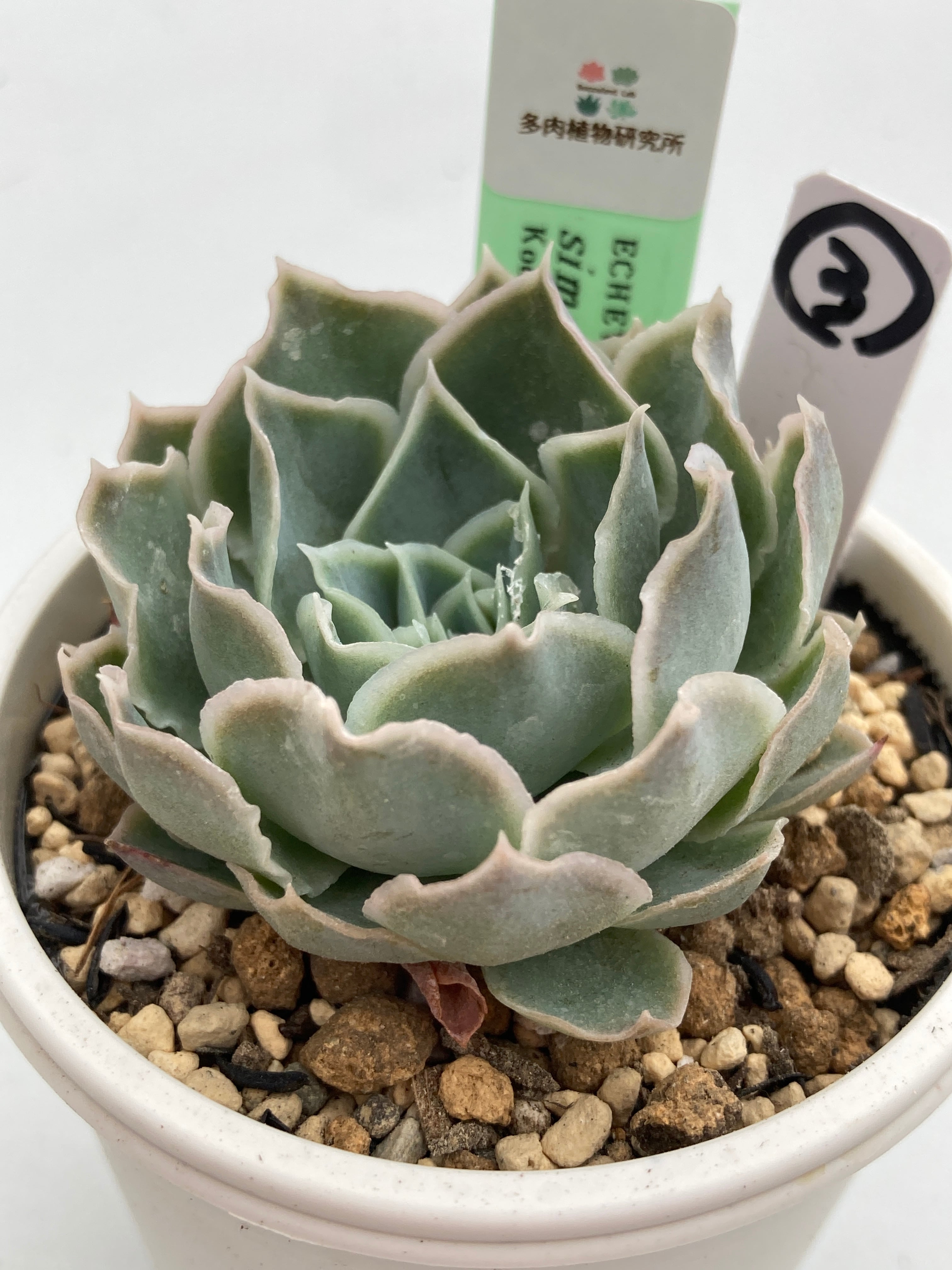 930a73ee592ae578e9551bb10afb20