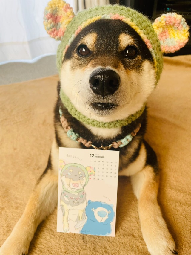 「うちの子たちの贈り物」tadaharu atelier 定期便