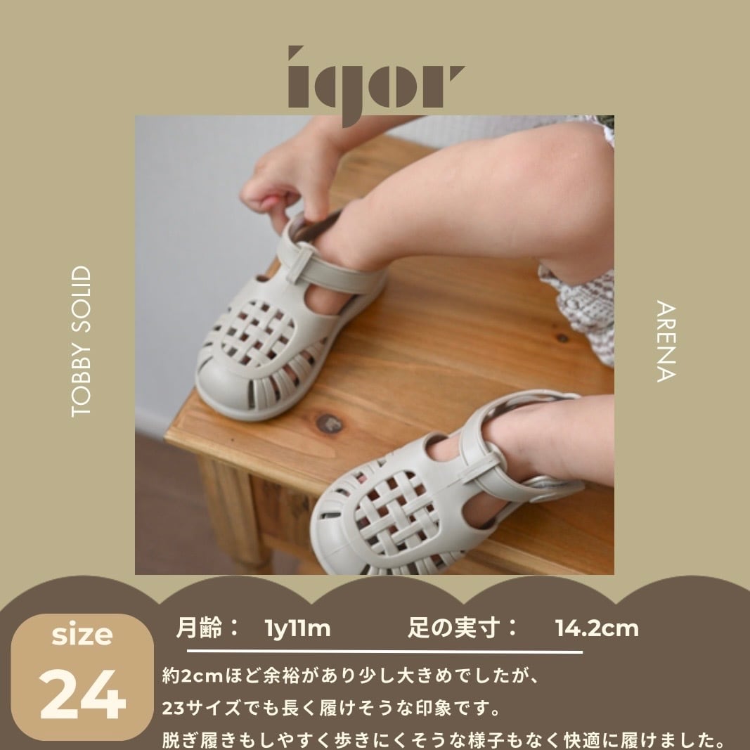 【即納/送料無料】igor / TOBBY SOLID / ARENA