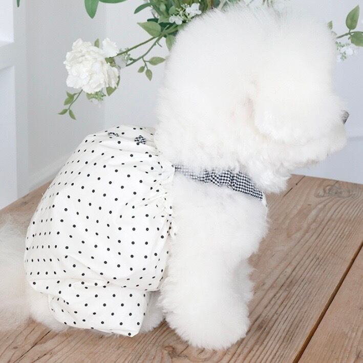 near by us キャリーバッグ 韓国 near by us(ニアバイアス) ペット用品