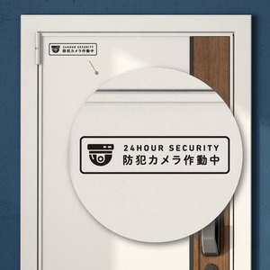 Security Camera Sticker