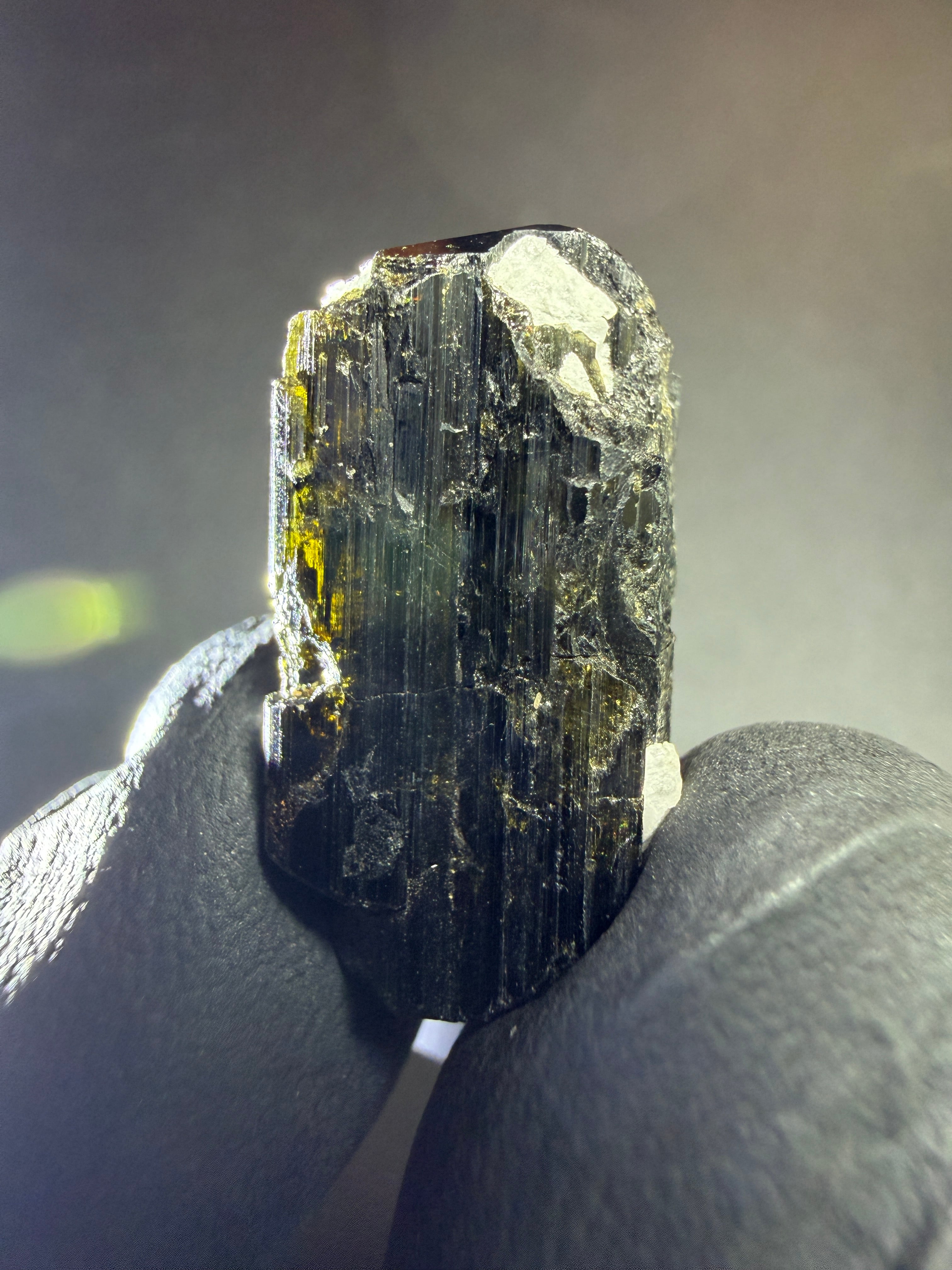 ブラックトルマリンイン マニハール産水晶(クル地区) ヒマラヤ水晶