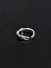 KARAOKE/CRAB RING