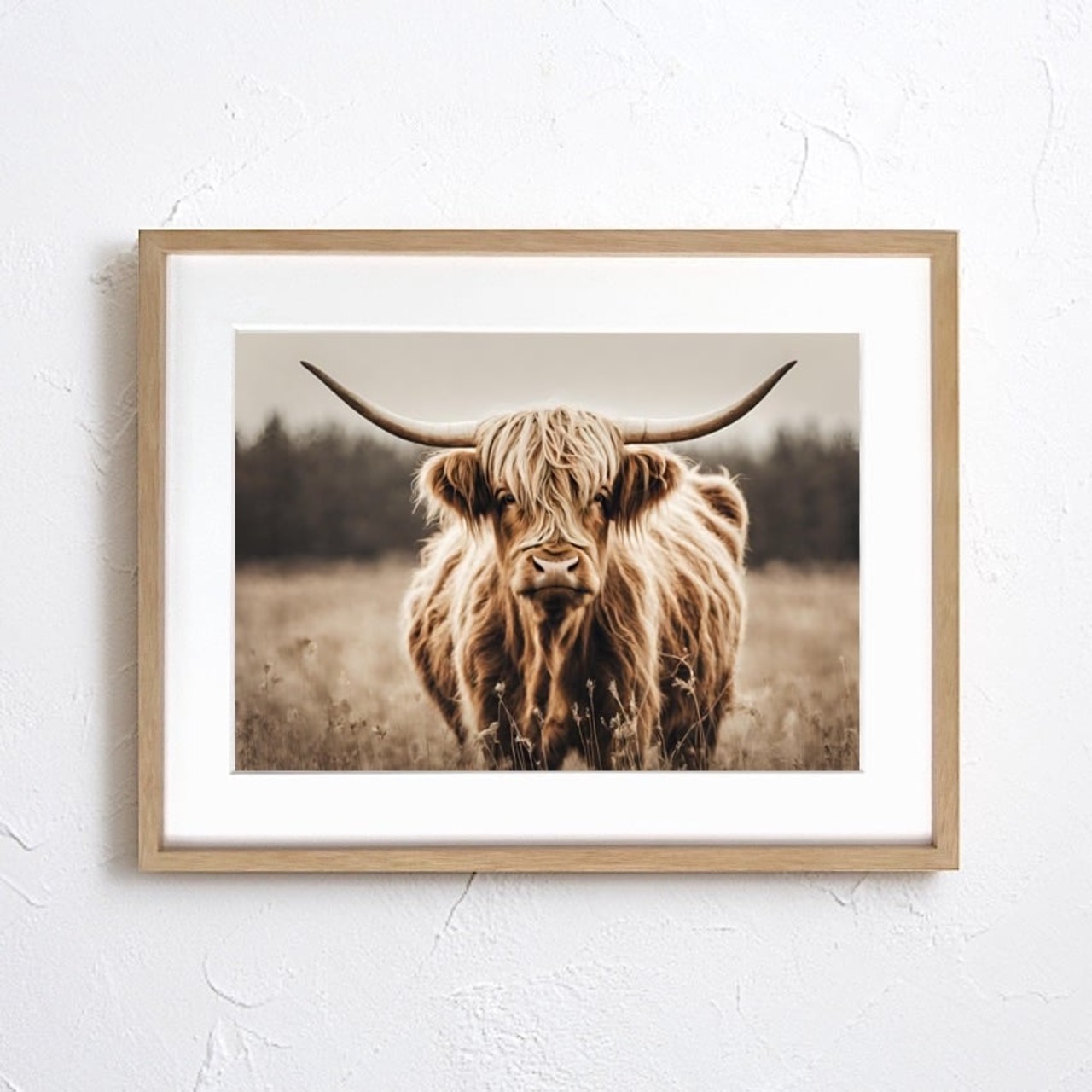 Highland cow｜北欧ナチュラルに合うハイランドカウのアニマルアートポスター｜ふわふわ毛並みが可愛い癒しの一枚｜A3ポスター
