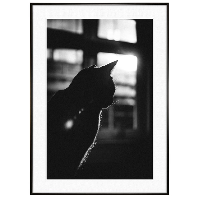 動物写真 窓と猫 インテリア モノクロアートポスター額装 AS1197