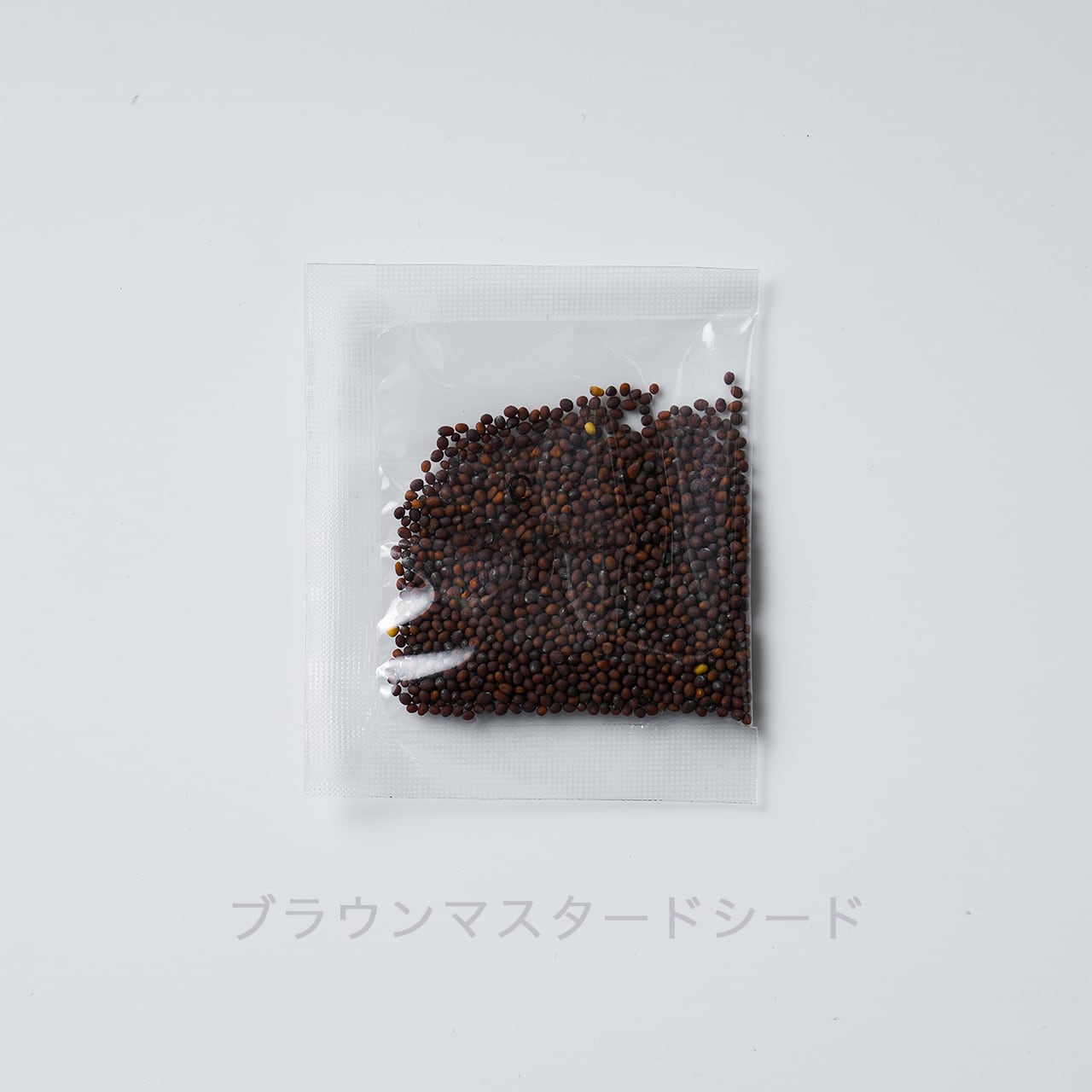 桜井食堂 南インド風チキンカレー スパイスセット（3人前×2セット