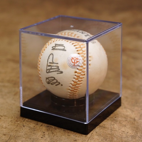 3252J 王貞治 サインボール（プリント） 読売ジャイアンツ 巨人軍 プロ野球 グッズ 昭和レトロ ヴィンテージ