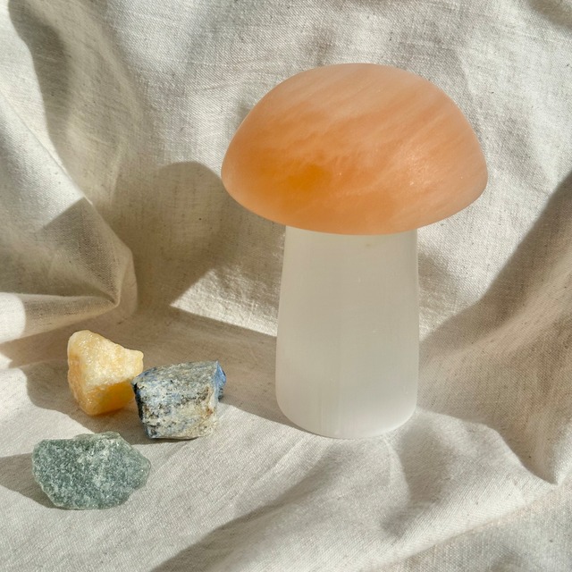 ロッククリスタル 水晶】ヴォーゲルワンド クリスタル スタンド付  