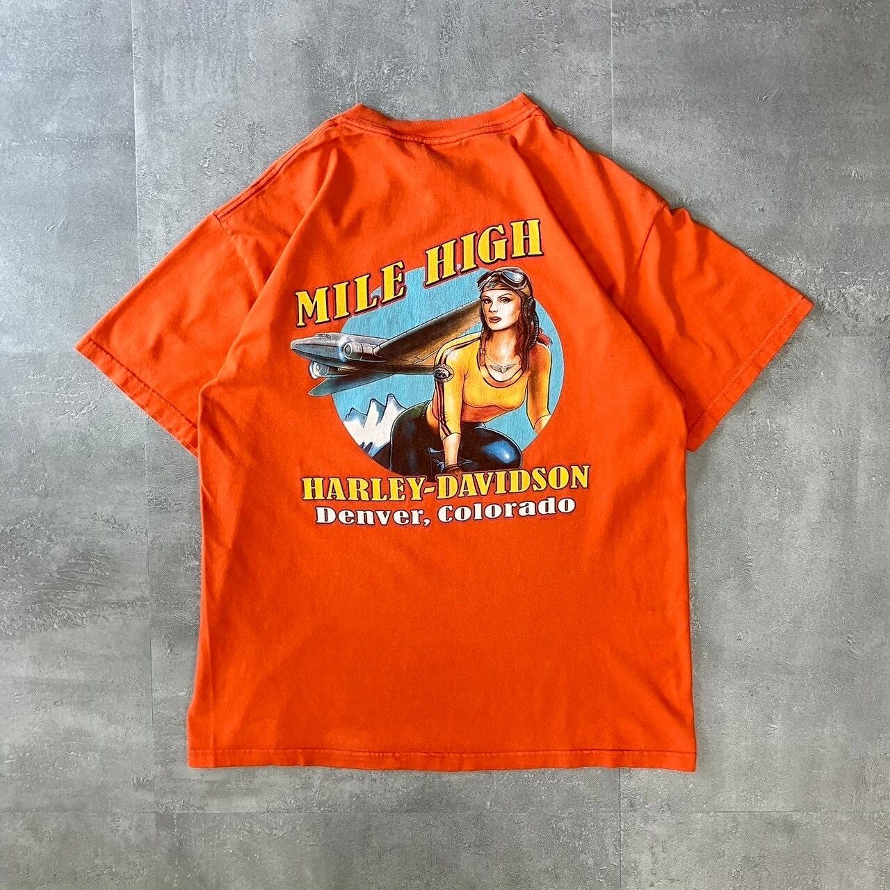 Harley-Davidso usa製 ハーレーダビッドソン Tシャツ 両面プリント no.2736