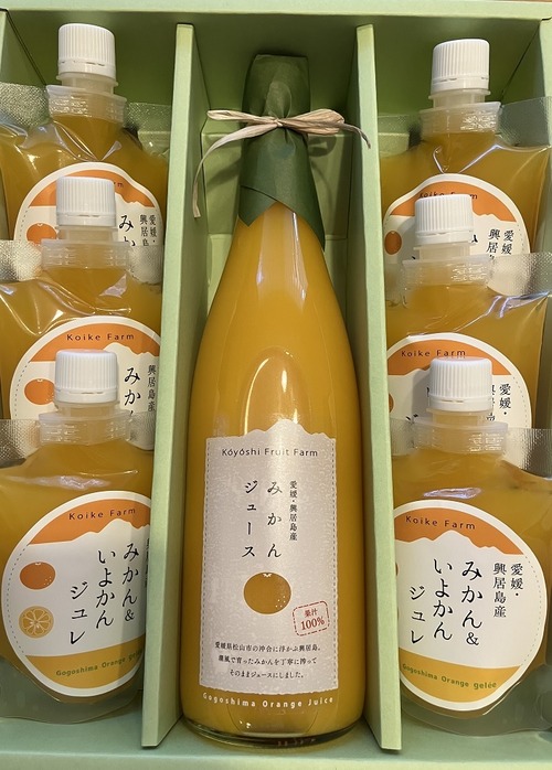 みかんジュース1本＋みかん&いよかんジュレ6個
