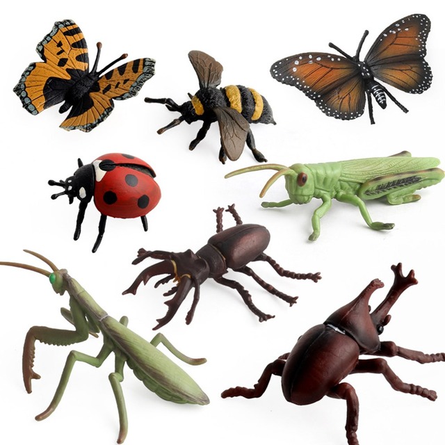 学習教育玩具 Biolog シミュレーション動物モデル昆虫クワガタカブトムシクモミツバチ蝶モデル