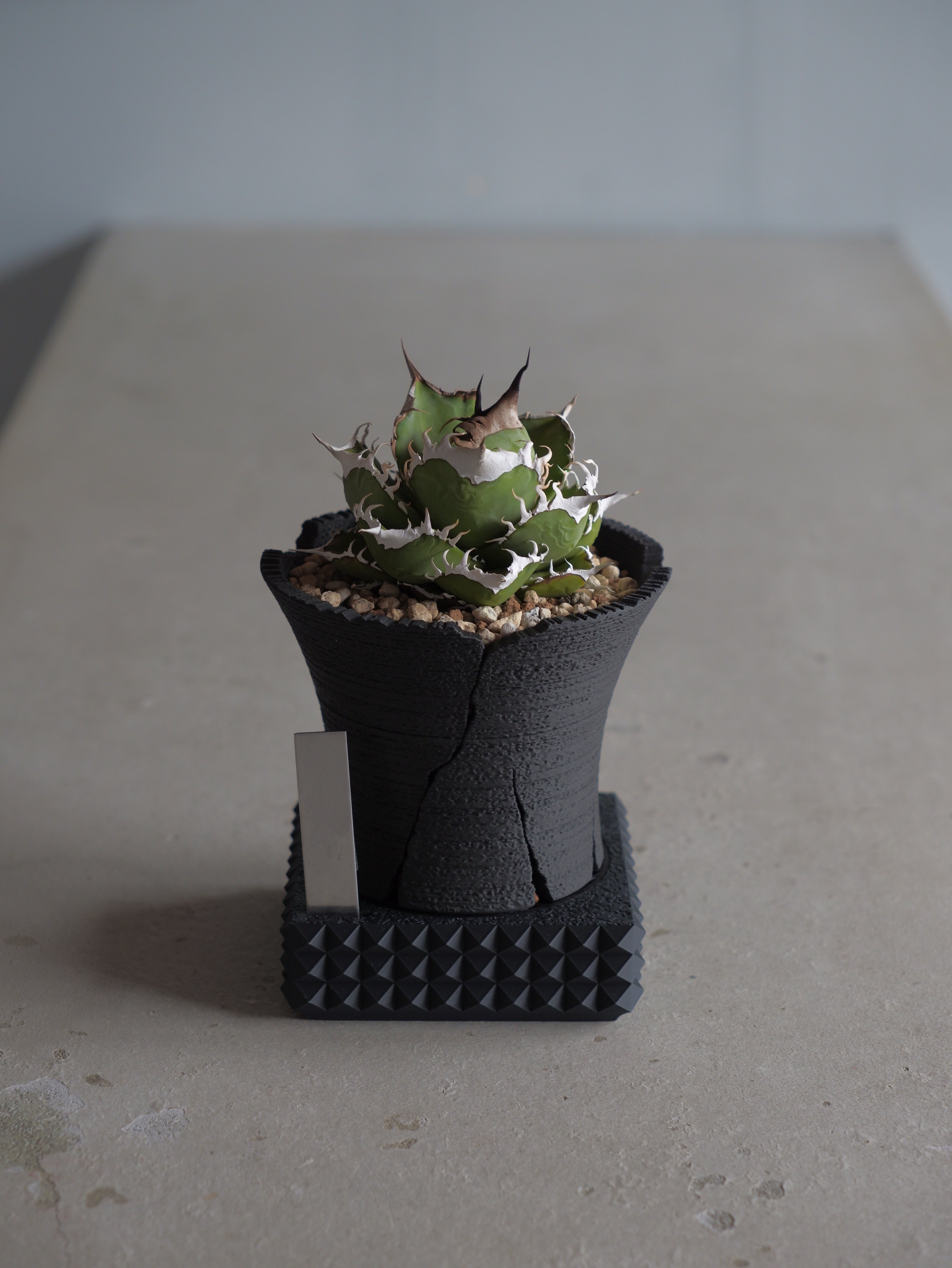 DAIZA 'STUDS' S | R3LABO