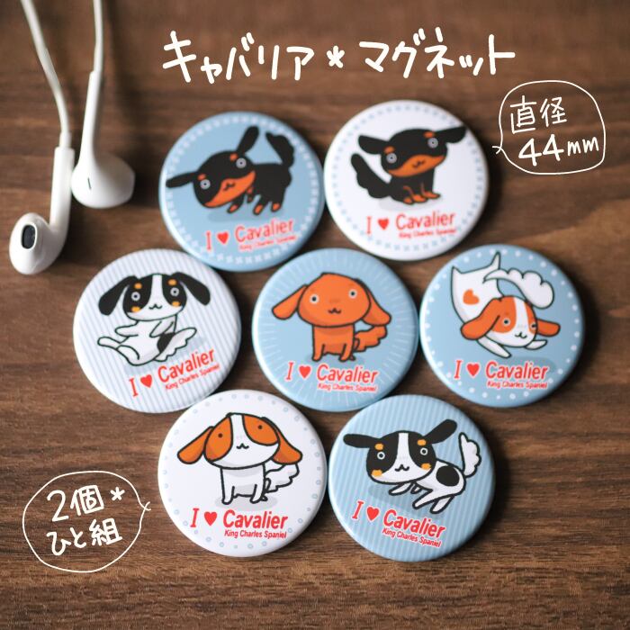 かわいいマグネット【キャバリア 】2個セット | ワンコと家族のワンコ
