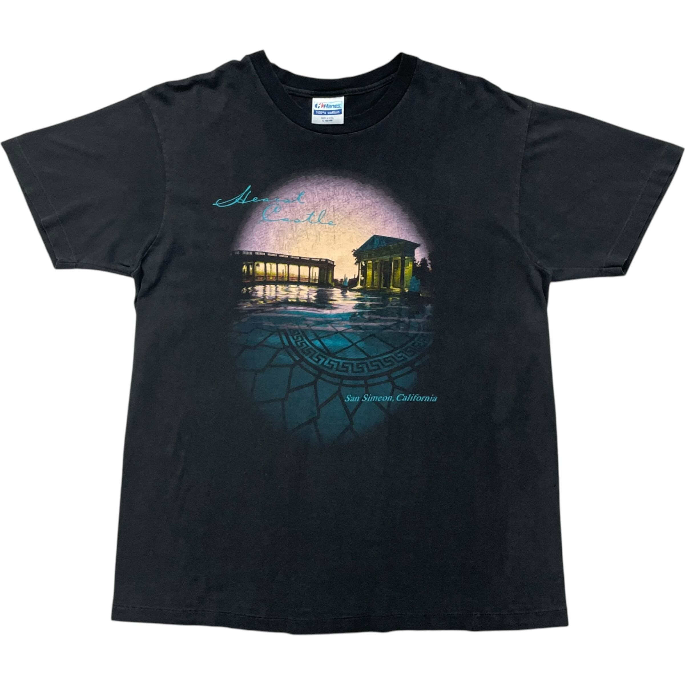 《L》 Hanes ヘインズ Tシャツ プリント シングルステッチ ブラック USA製 80年代 vintage no.6662