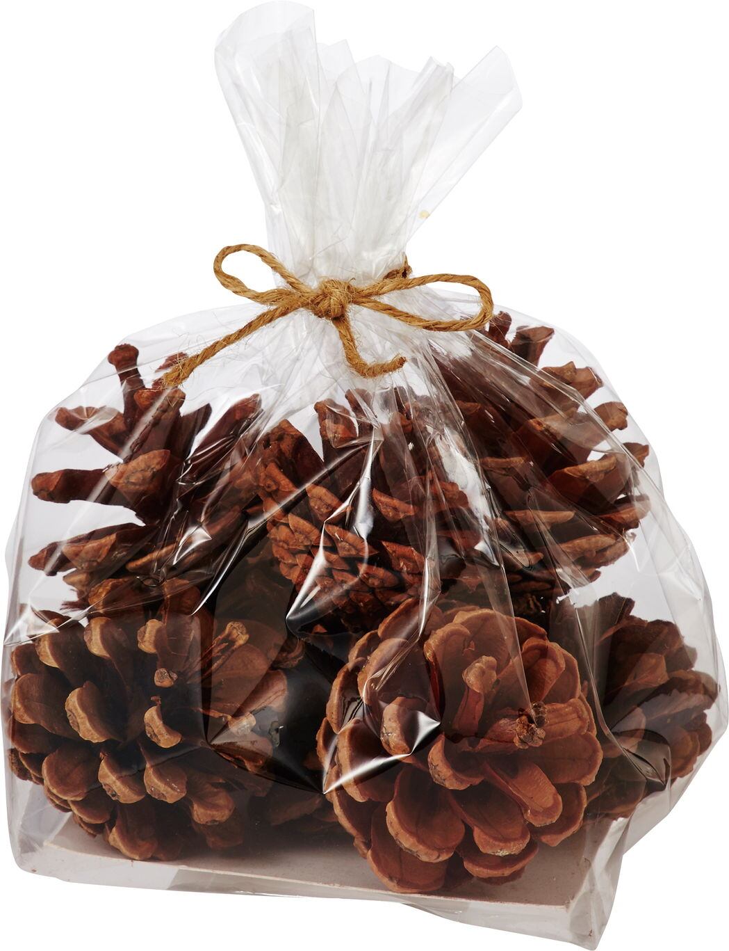 ナチュラルコーンパック　　MCY-0264　4961823766848　フラワーベース