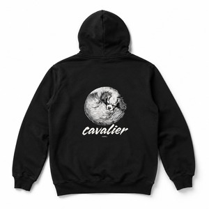 cavalier backDesign Parker