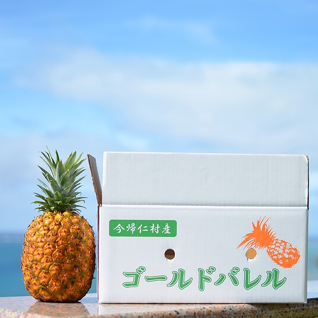【完熟】ゴールドバレル1.3～1.5kg1玉
