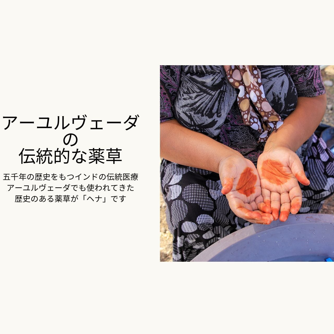 ヘナシャンプー エコヴェーダ2019 5個セット