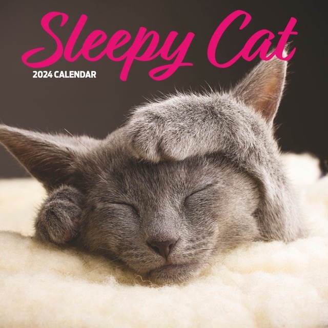 英国直輸入カレンダー2024【眠い猫】モダン