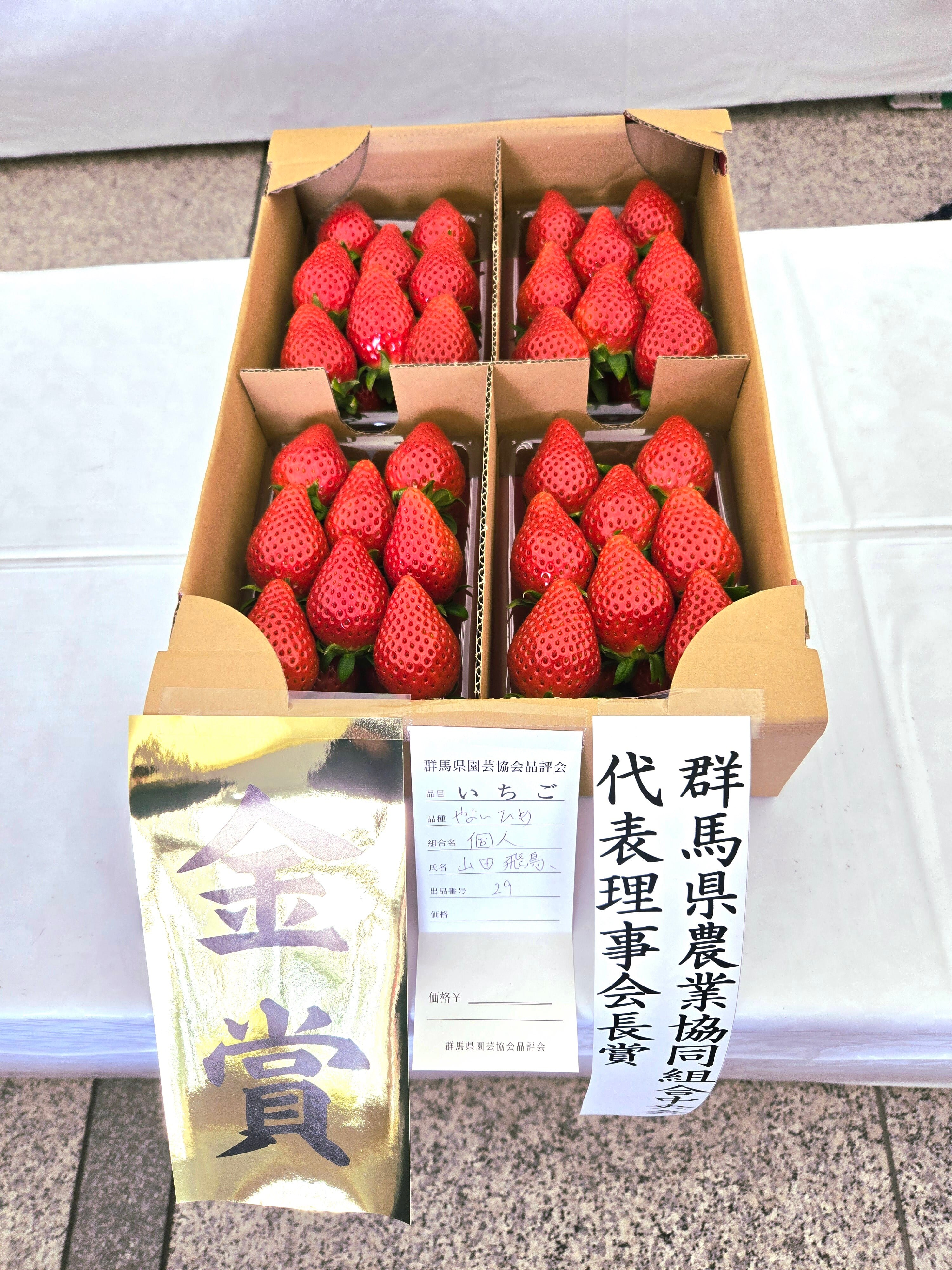 群馬県いちご品評会金賞受賞やよいひめレギュラーパック280g 4パック