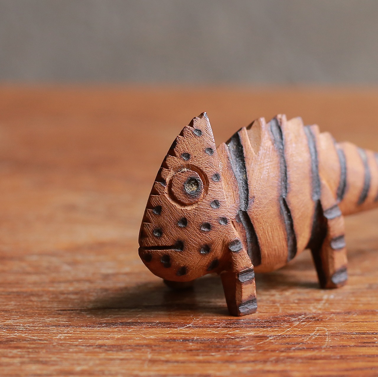 こちらをチラッと見る、小さなカメレオン