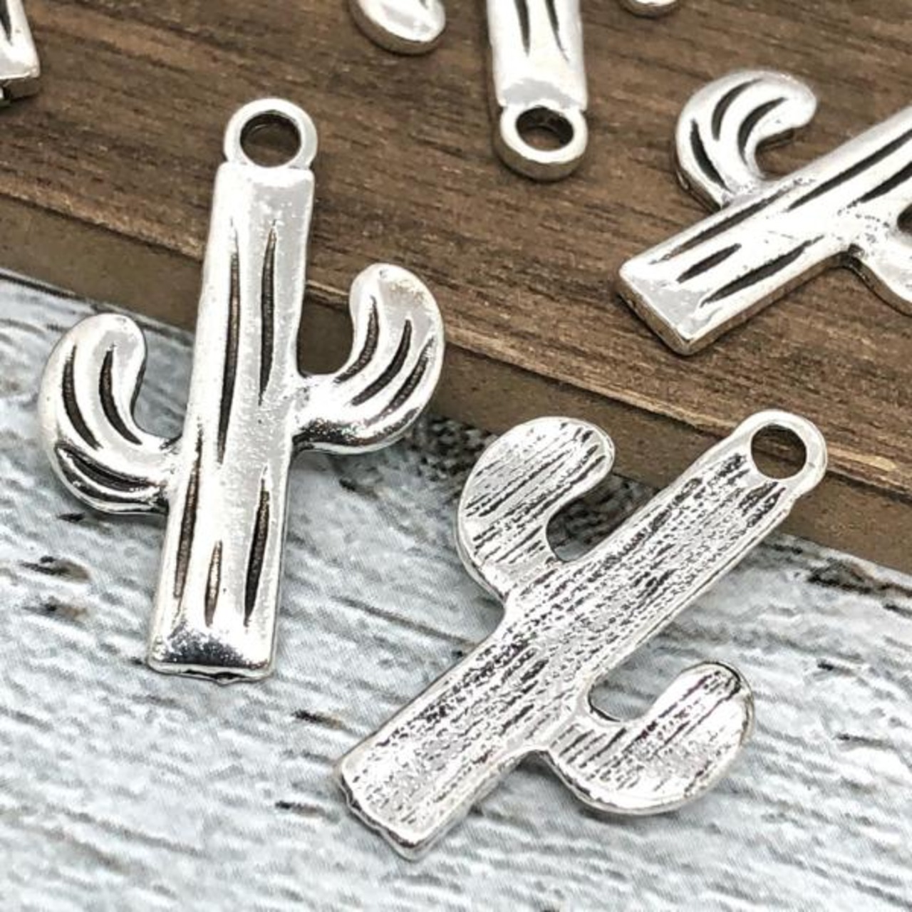 【4個】サボテンチャームz