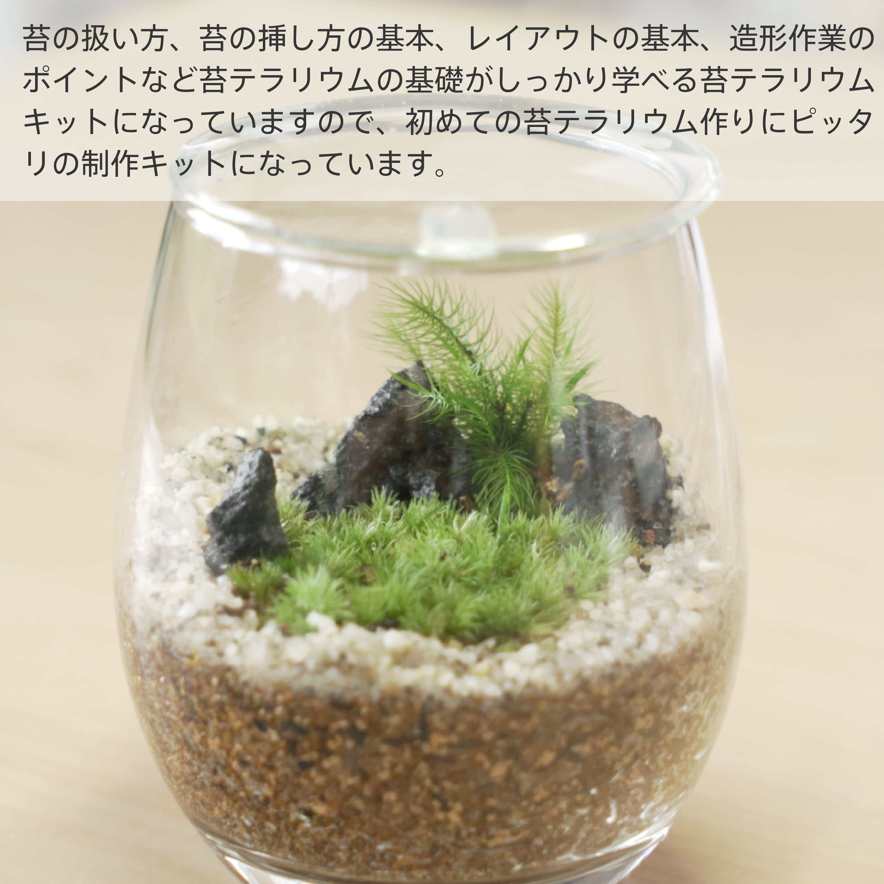 苔のテラリウムに必要なセット